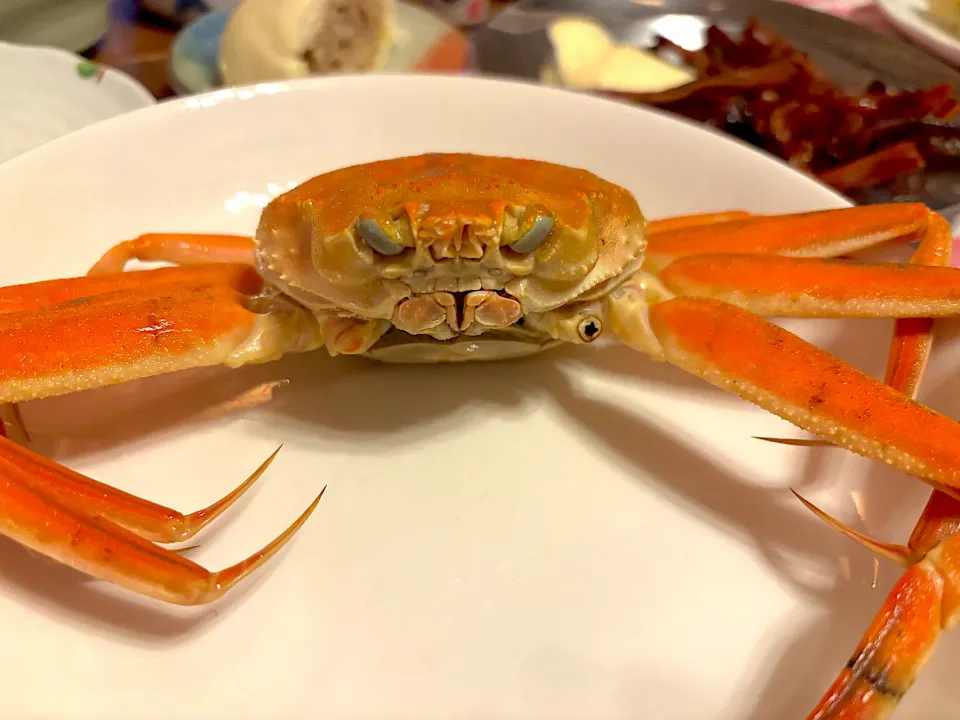 セコガニ🦀|Hiropanさん