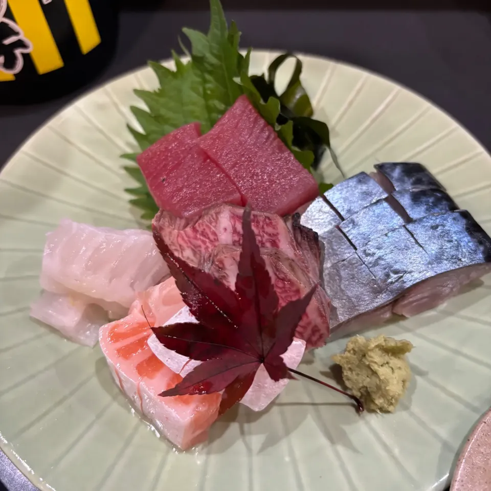 とらのこさん(◍•ڡ•◍)❤|いつみさん