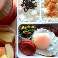 今日の大学生バイト弁当🍱| はぴたさん