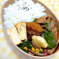 今日のお弁当|nanaeさん