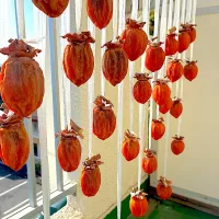 干し柿|つわぶきさん