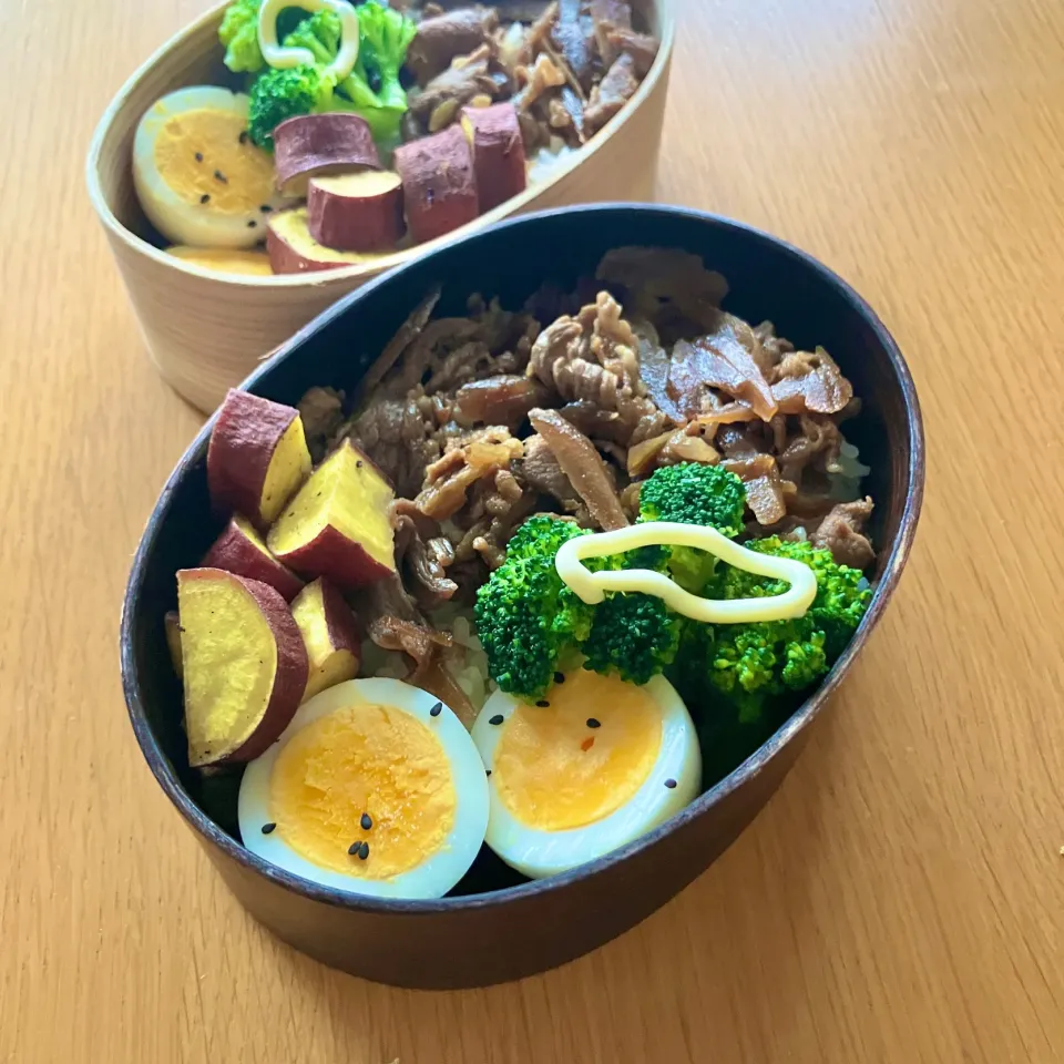牛肉とごぼうのしぐれ煮弁当|gentle___moonさん