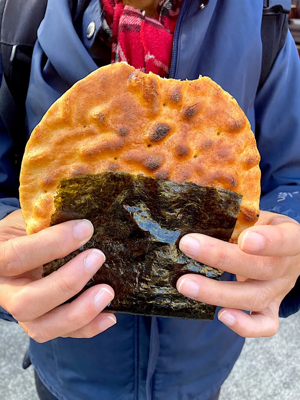 いただきまーす・・・写真撮る前にはやとがひとかじりしちゃいました😋（実況中継終了）|なびさん