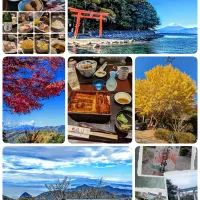 夫婦お出かけ〜IN伊豆|とまと🍅さん