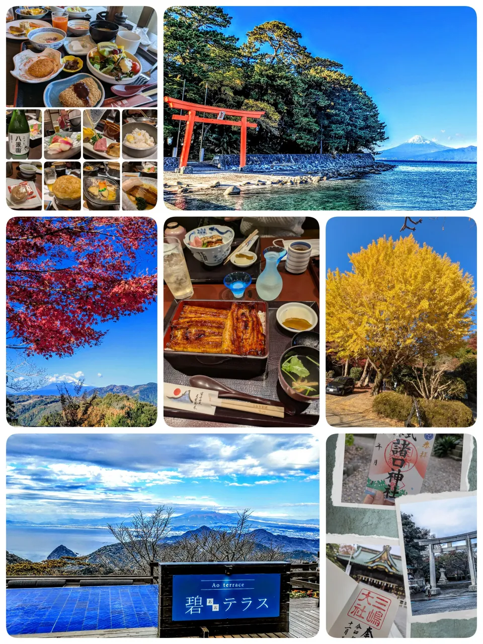 夫婦お出かけ〜IN伊豆|とまと🍅さん