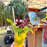 |Selma Jezkovaさん