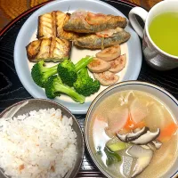 | 🍮ぷりぷりざえもん🍮さん