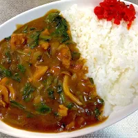 鶏肉とほうれん草のカレー|satoruさん