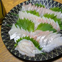 ヒラスズキのお刺身| macoZyさん