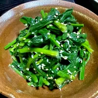 蓬蓮草ナムル|たまさん