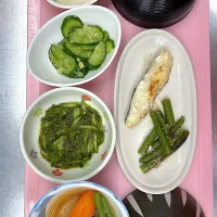 朝ごはんです|じゅにぱあべりぃ🍎さん