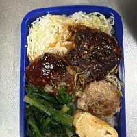 こっちハンバーグとほうれん草やねん|みどりさん