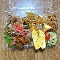 豚肉生姜焼き弁当|望さん