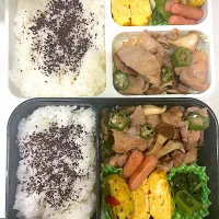 7.11.28 お弁当記録|まんちきさん