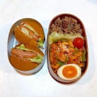 今日のオット弁当と、高３ムスメ弁当。|chi.aさん