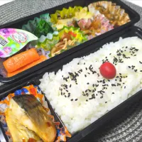 12月1日お弁当|鈴木さとしさん