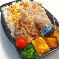 餃子弁当|ルナさん