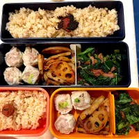 今日のお弁当|Victoryageさん