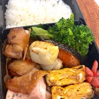 今日のお弁当|ようちゃんさん
