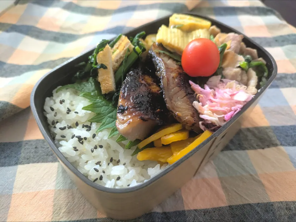 銀鱈西京焼き弁当|かんのさん