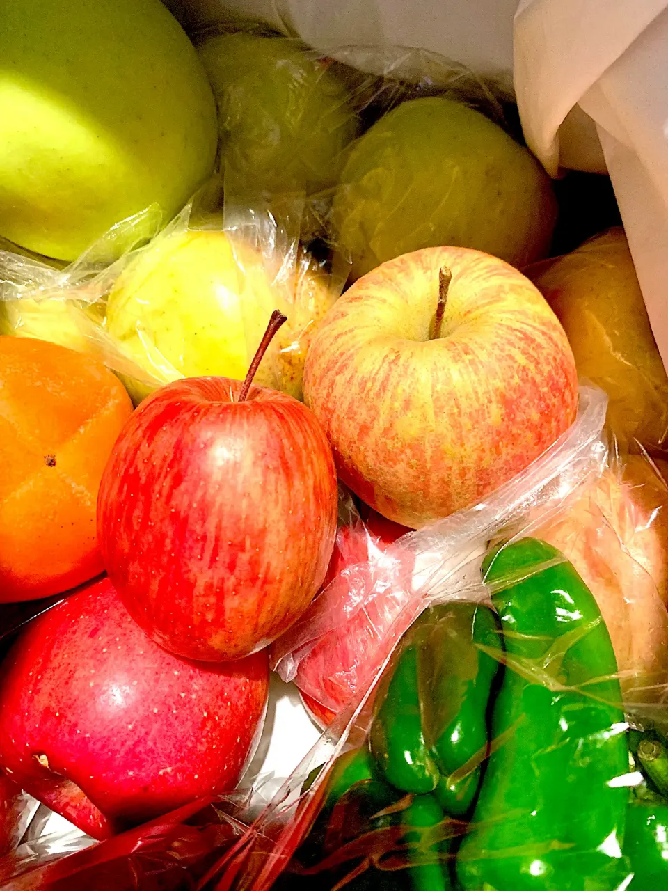 Freshly picked seasonal fruits|gonbenさん