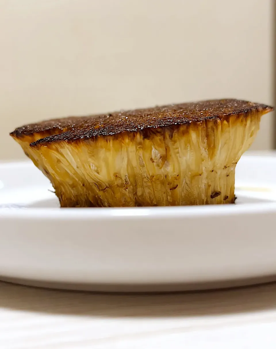 きのこやま|もっさんさん