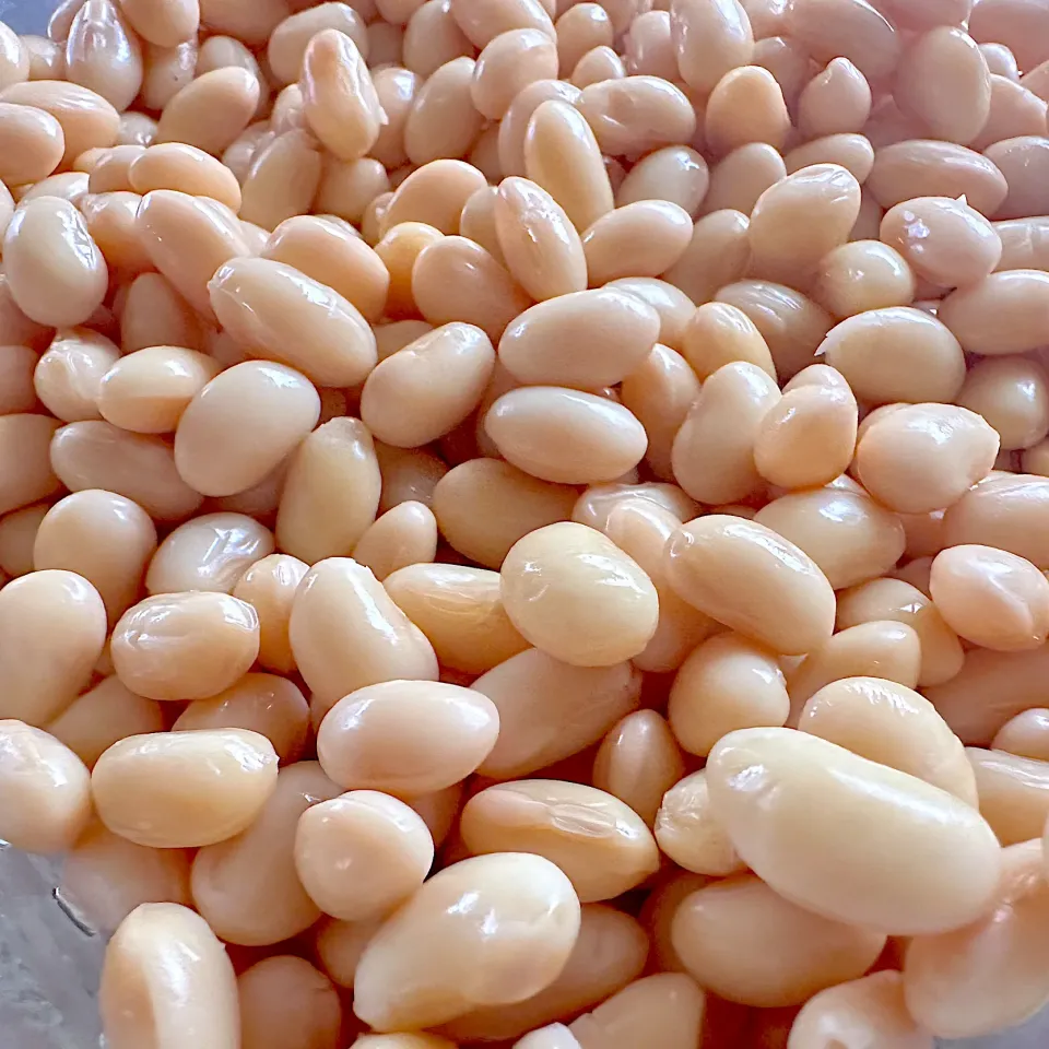 大豆を炊いた|くまちゃんさん