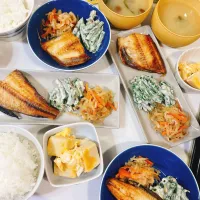 ほっけ𓆡| 38cさん