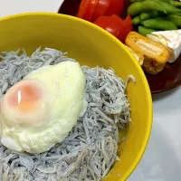 しらす丼&その他モロモロ|なおさん