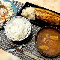 さば✖️ねずみ大根おろし|ぷわこさん