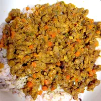 ドライカレー|獨樂さん