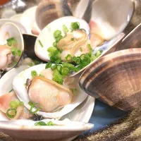 はまぐりの酒蒸し|mokoさん