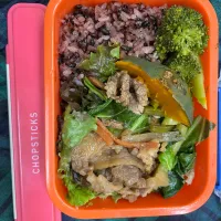 大学に持ってくお弁当！|大学しなもんさん