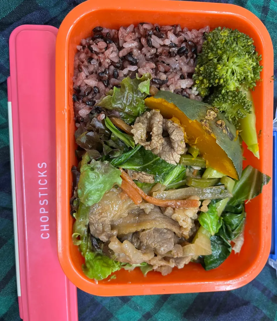 大学に持ってくお弁当！|大学しなもんさん