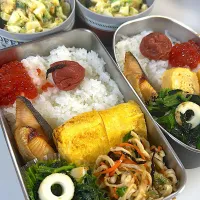 鮭の塩焼き　だし巻き玉子　ほうれん草とちくわの発酵バター焼き　切り干し大根中華和え　筋子醤油漬け　ブロッコリーカリフラワー玉子マスタードサラダ|まゆさん