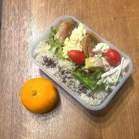 女子大学生お弁当12月2日| hatabowwyomeさん