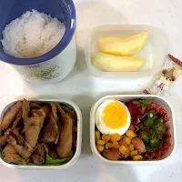 12月2日のお弁当🍱|momotoemiさん