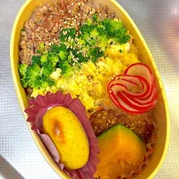 肉そぼろ弁当|foryuukiさん