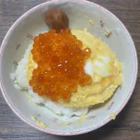 | ごはんーさん