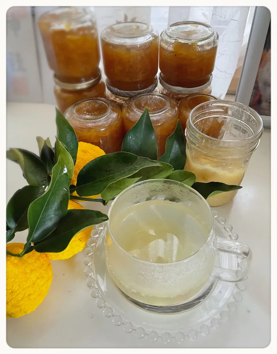 柚子と戯れる🟡                                  柚子ジャムとゆず漢方|yucca@さん