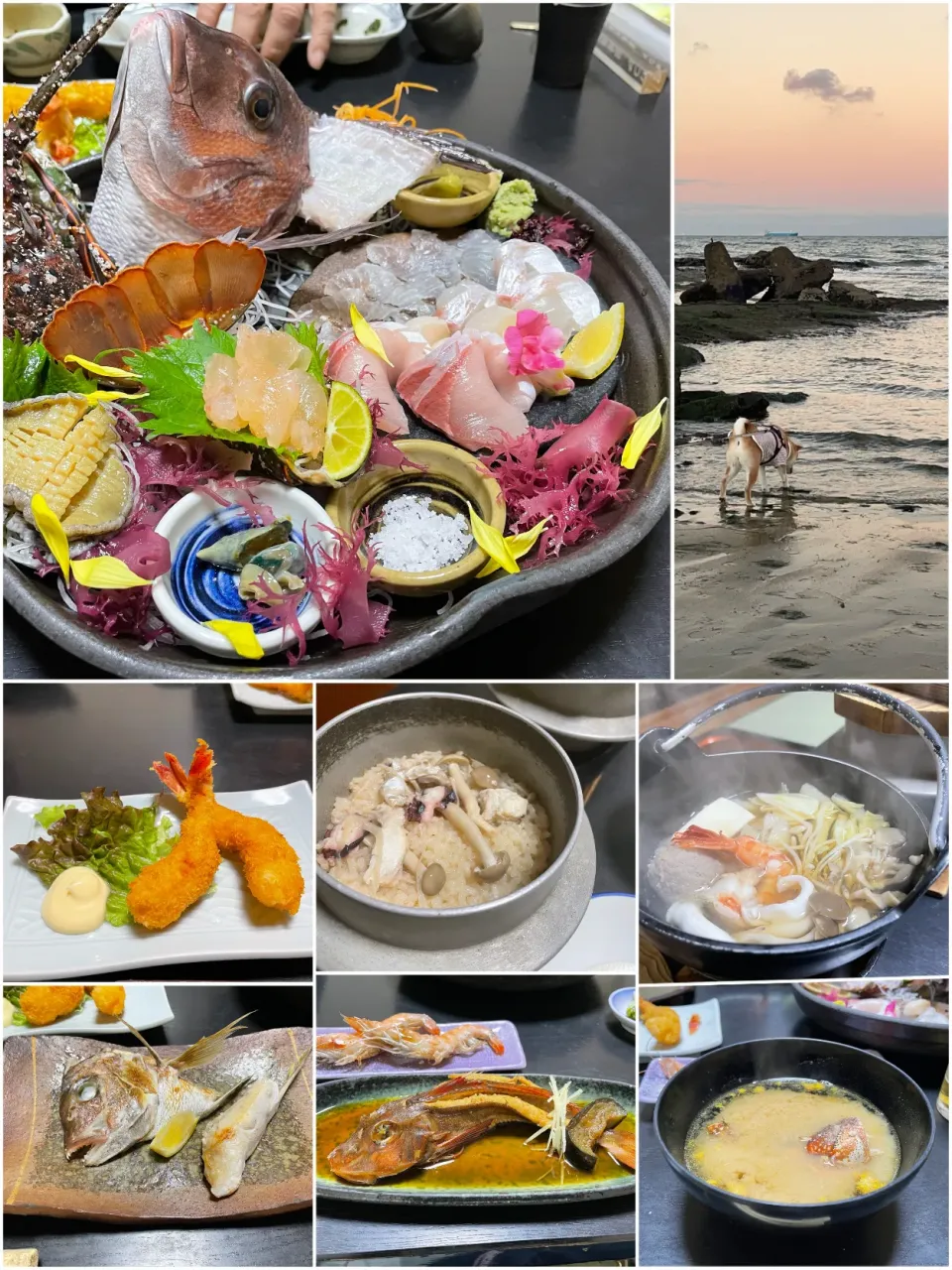 初めてのお泊まり旅行🐕 ͗ ͗|yucca@さん