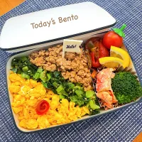 今日のお弁当|りおさん