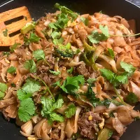 Homemade Pad see ew 🌱|🌺IAnneさん