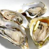 サロマ湖の牡蠣|yuchaさん