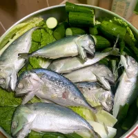 ททสงงด|Max Artitさん