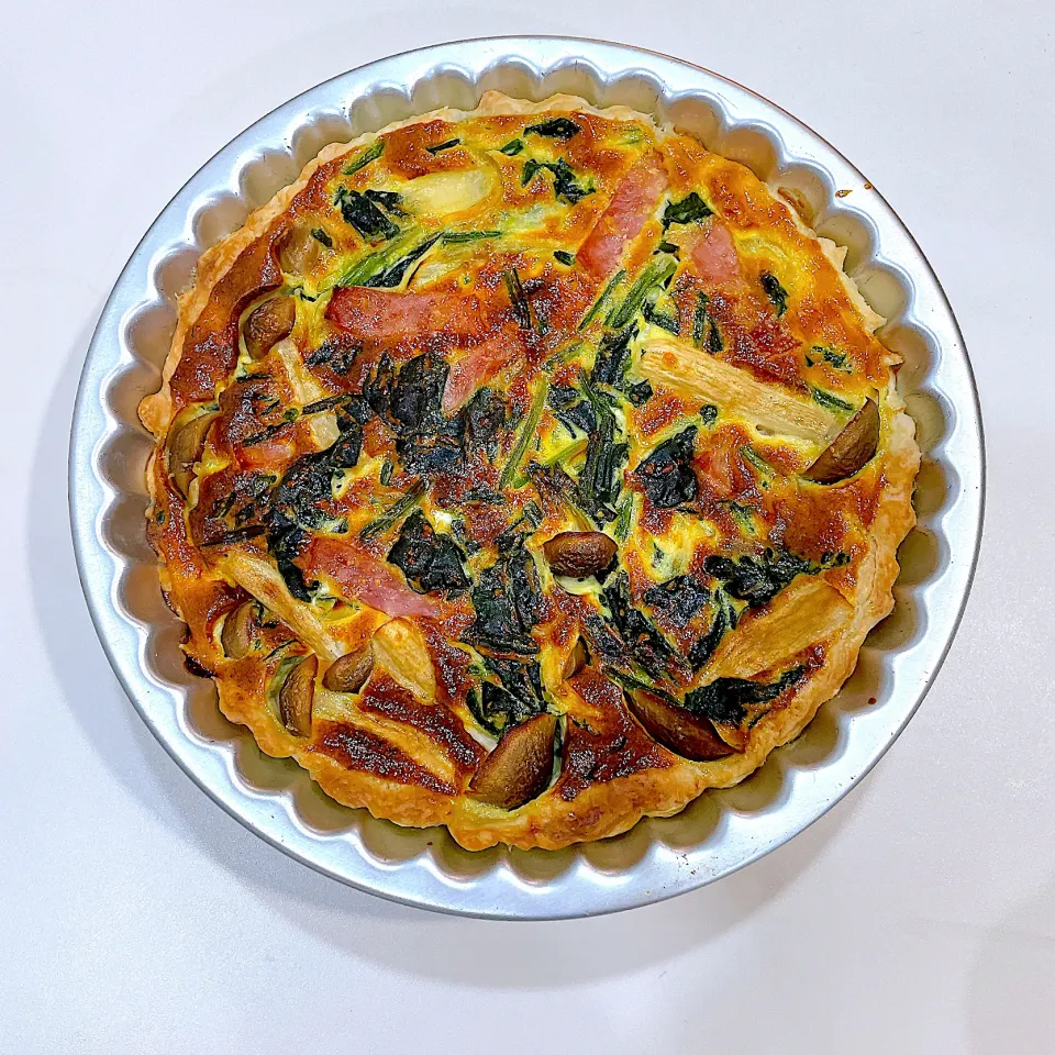 キッシュ🥧|mayuさん