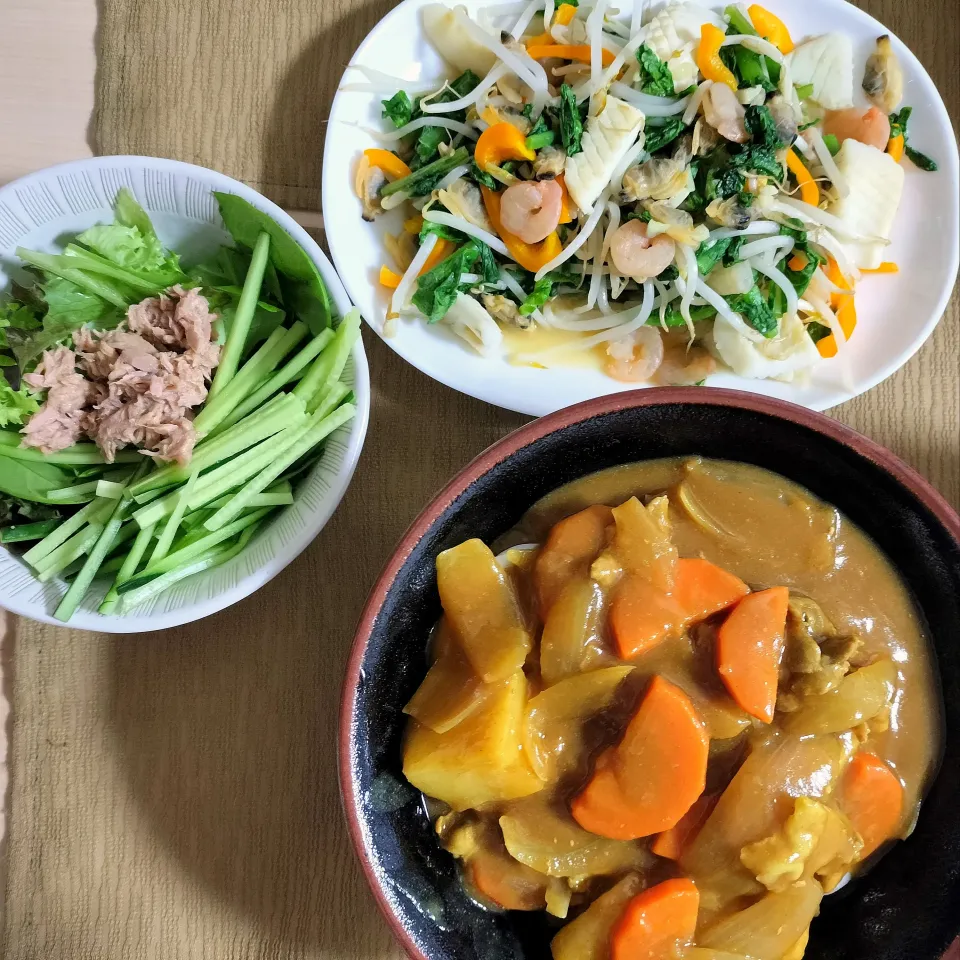 🌛*゜カレーうどん / シーフード野菜炒め / サラダ|Ayakaさん