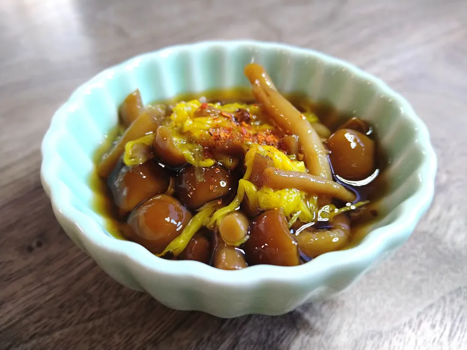 菊なめこ|古尾谷りかこさん