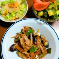 豚肉と茄子の味噌炒め|ぱやさん