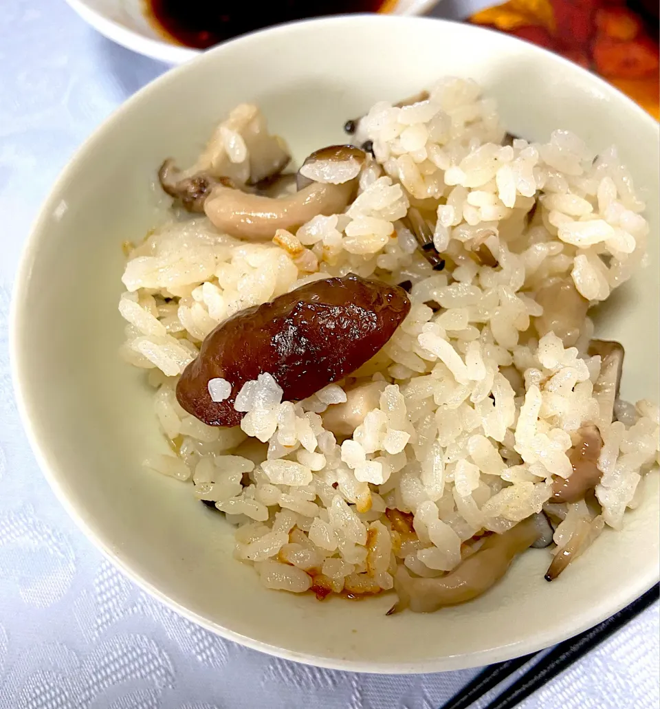 きのこ炊き込みご飯|ネコさん